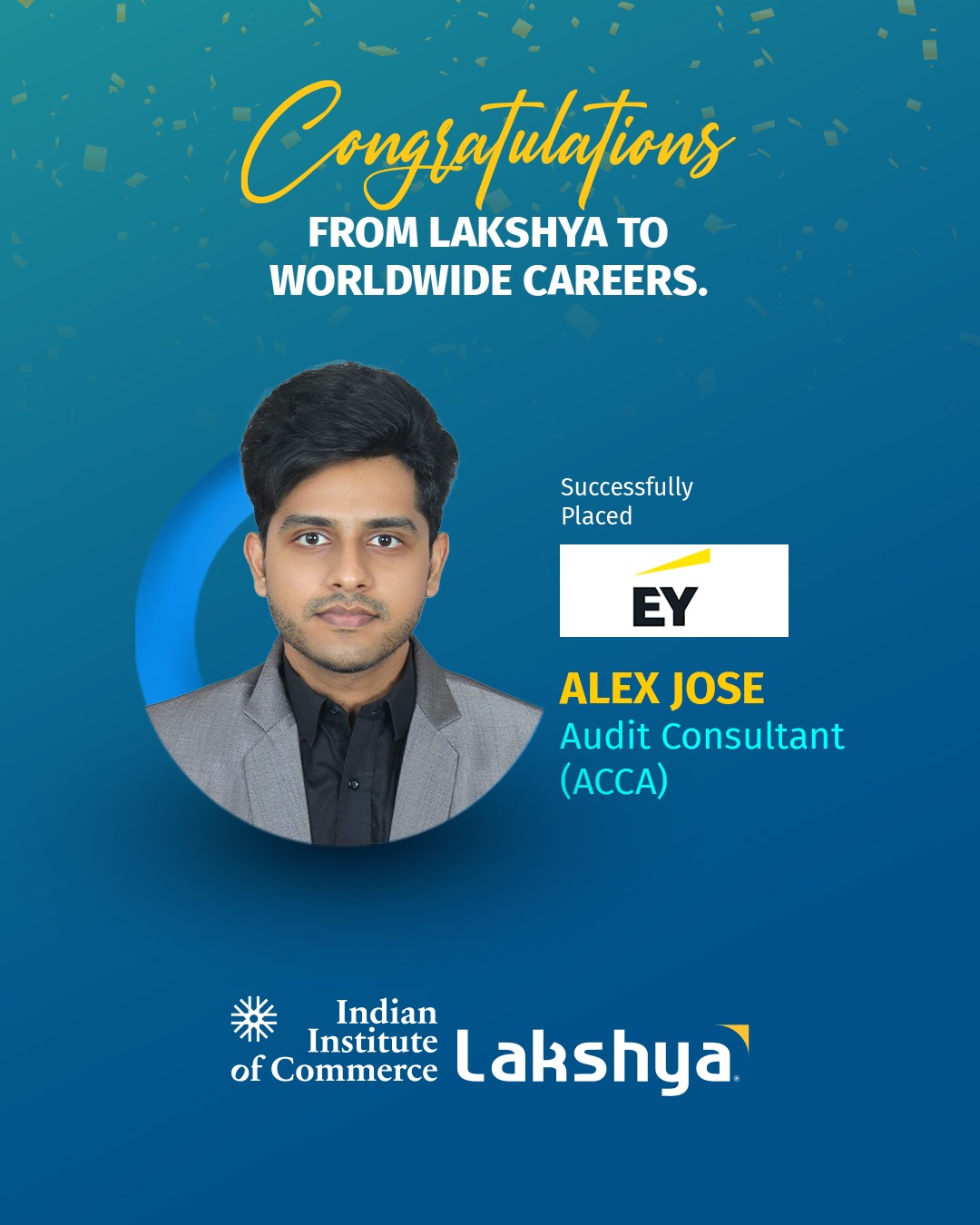 Audit Consultant